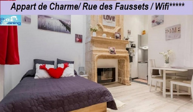 Appart de Charme / Rue Des Faussets