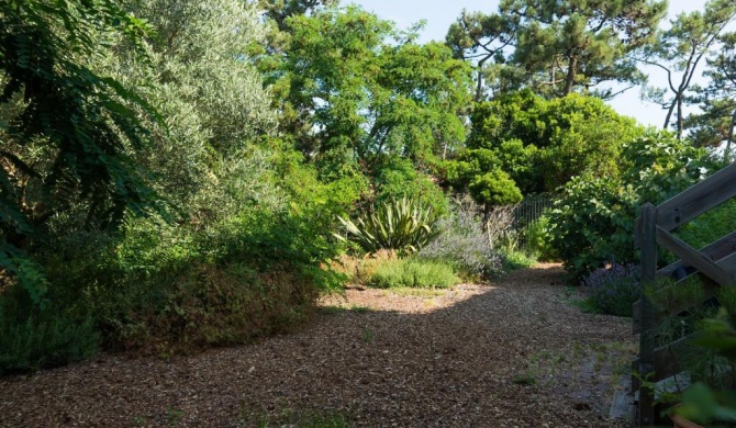 Le Lodge du Cap Ferret