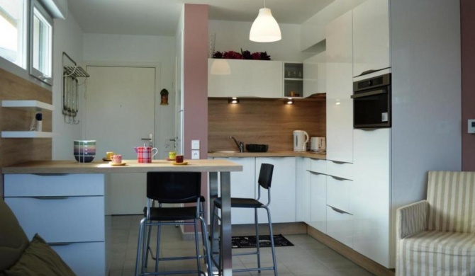 Apartment Bayonne, 1 bedroom, 4 persons - FR-1-248-24