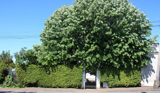 Jardins en Ville