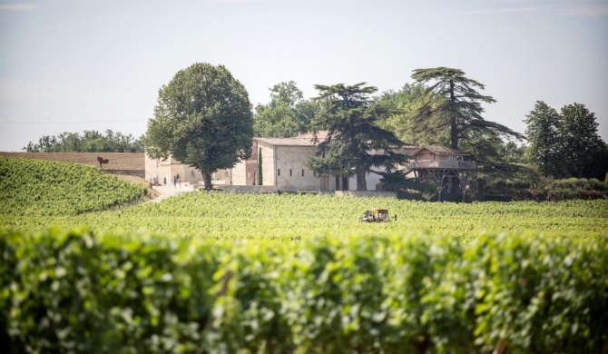 Le Relais de Franc Mayne Saint Emilion