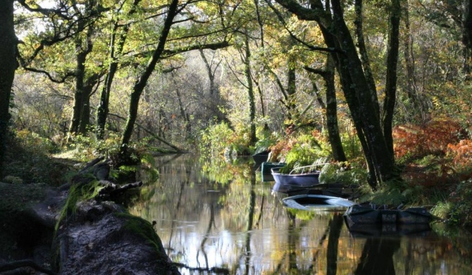 Villa de l'Etang Blanc