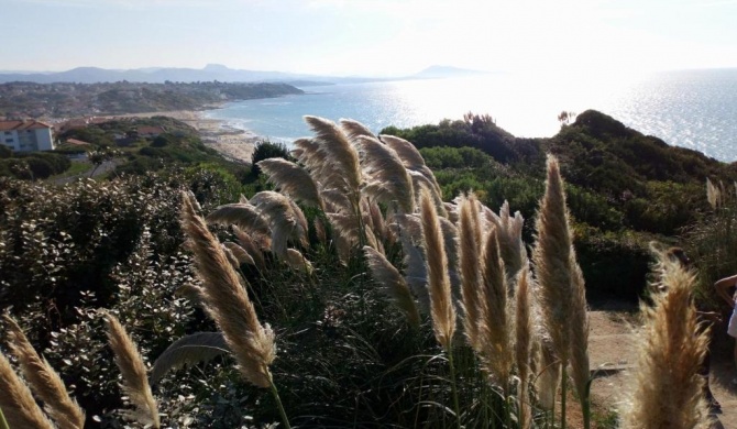 En plein coeur du village de Bidart et de ses commerces et à 200 mètres de la mer, un appartement T2 sympa