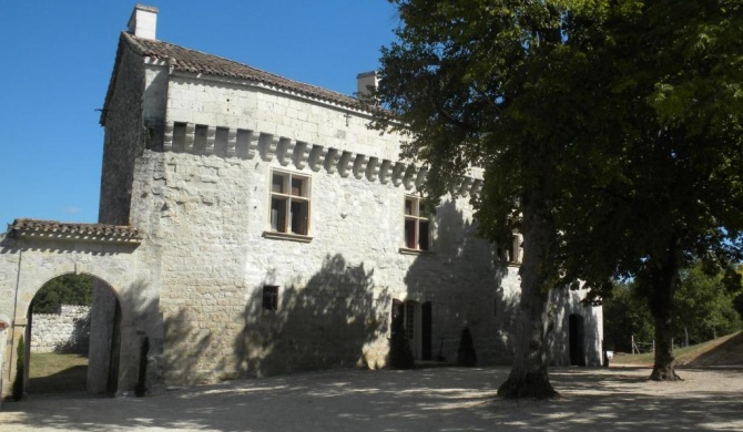 Château de Plèneselve